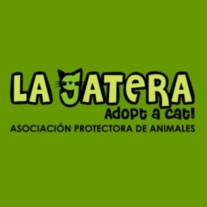 Asociación La Gatera - Adopt a cat (Segovia)