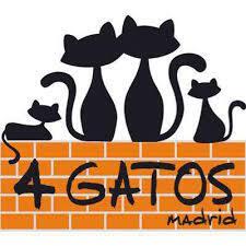 Asociación 4 Gatos (Madrid)