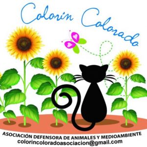 Asociación Colorín Colorado (Cuenca)